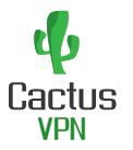 CactusVPN Review